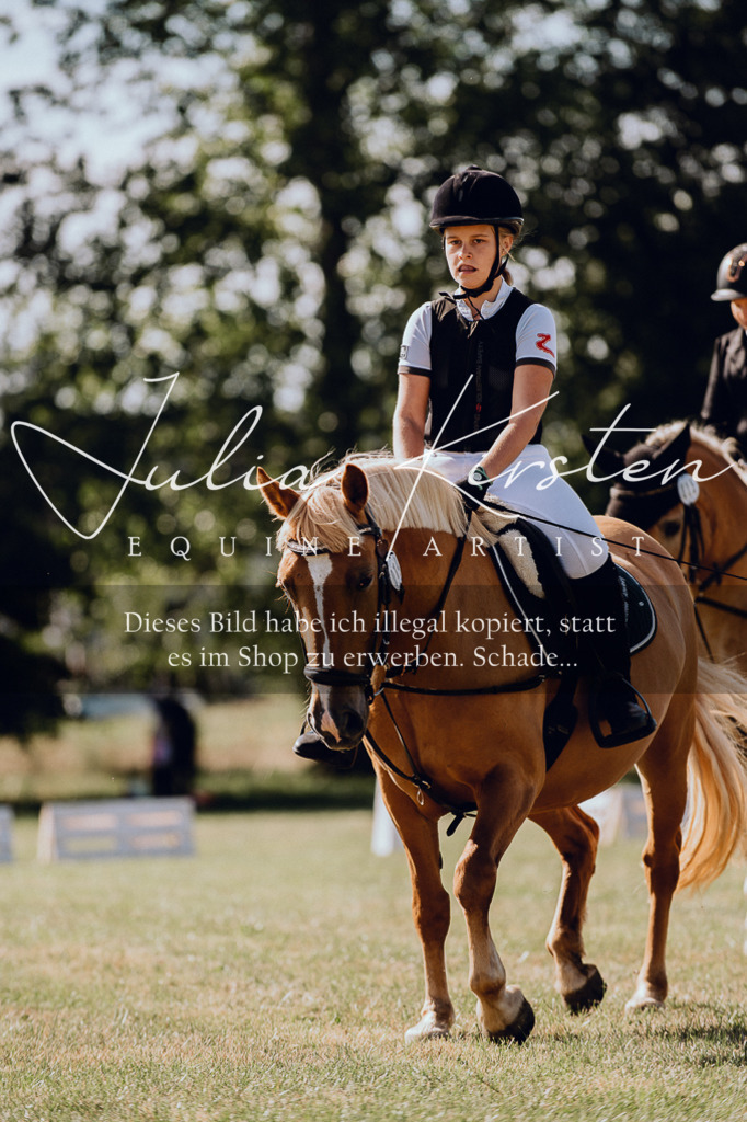 DSC_7052 | Pferde- und Turnierfotografie in Westsachsen. Pferdeportraits, Auftragszeichnungen und intuitive Kunst.
