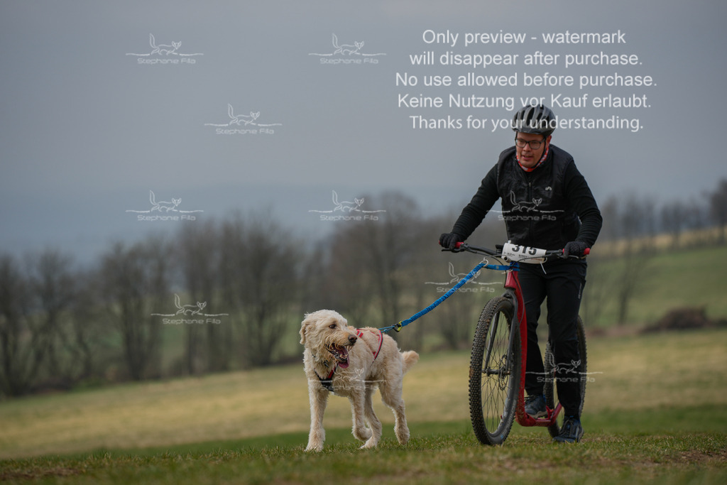 ScooterSA-85 | stephaniefillaphotographie - Realisiert mit Pictrs.com