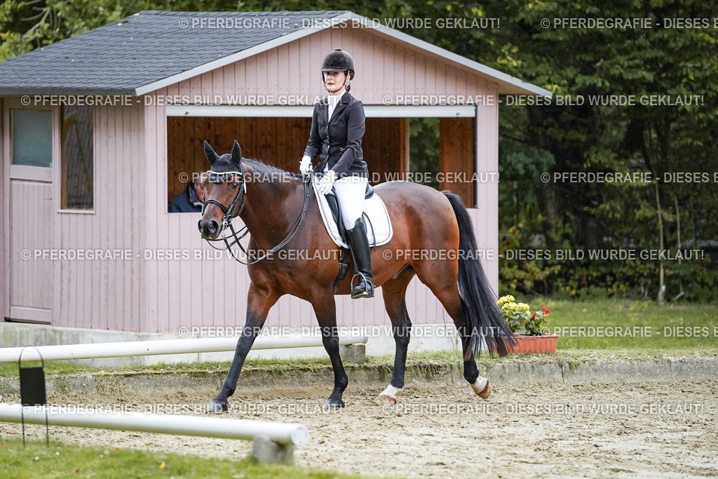 DSC00593 | Pferdegrafie