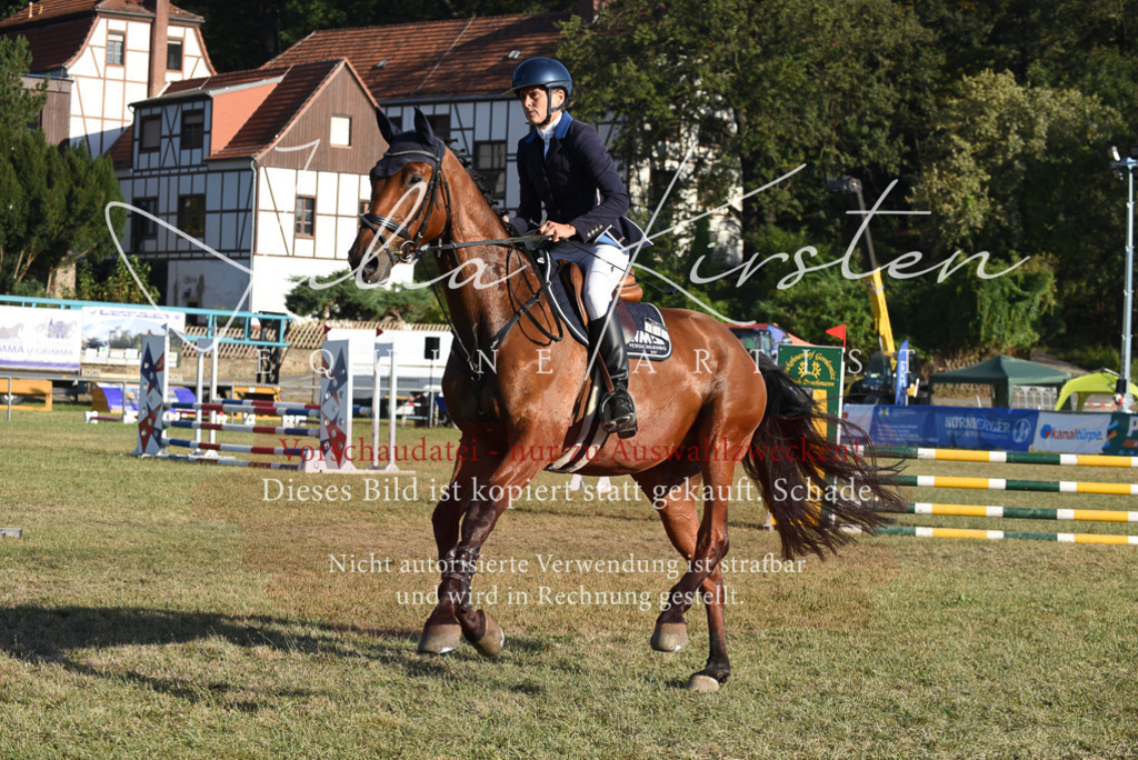 DSC_5039 | Pferde- und Turnierfotografie in Westsachsen. Pferdeportraits, Auftragszeichnungen und intuitive Kunst.