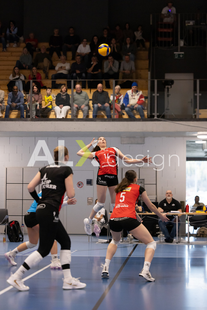 Volleyball I Frauen I Saison 2025-2026 I Volleyball NLA | Women I 1/4 Finals I  BIWI VFM - VC Kanti Schaffhausen I 01.03.2026 | 14 Josipa Marković (HR) (VC Kanti Schaffhausen) – Aussen - Realisiert mit Pictrs.com