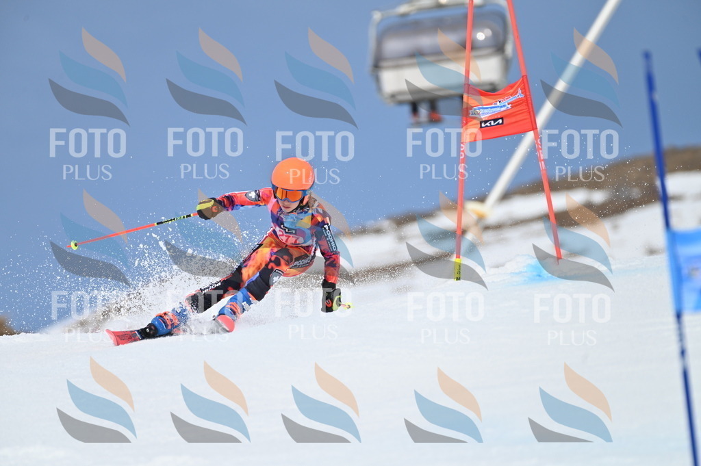 BGV_2357 | holidayphoto