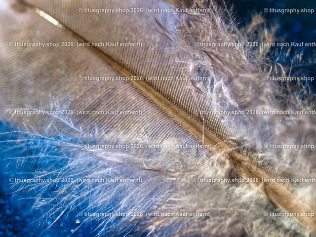 titusgraphy_P3085092-vz-ln | titusgraphy-shop: Geschenkideen mit Qualitätsfotos. titusgraphy-shop: gift ideas with quality photos. titusgraphy-shop: idées cadeaux avec photos de qualité.  - Realisiert mit Pictrs.com