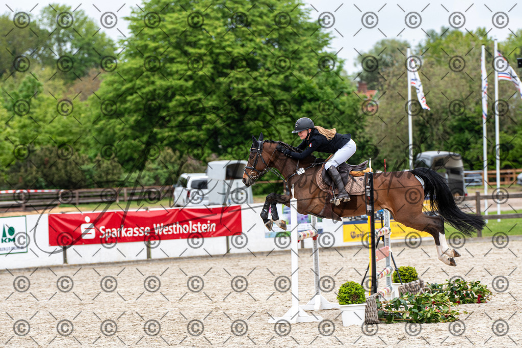 KPT_8326 | andre_photographic