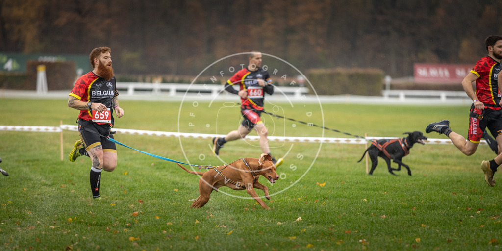 CaniXpix_DV3A9501 | Hundefotografie, Tierfotograf, Pfotenfotografie, Fotoshooting Hund, Hunde Portrait, Hundesport, Hundeportraits, Heideshooting, Hunde, Sportfotograf, Hundefotograf, Turnierhundsport, THS,  - Realisiert mit Pictrs.com