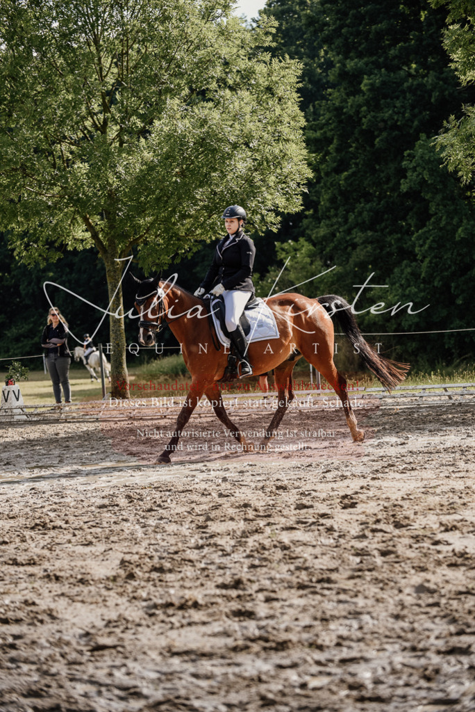 DSC_9030 | Pferde- und Turnierfotografie in Westsachsen. Pferdeportraits, Auftragszeichnungen und intuitive Kunst.