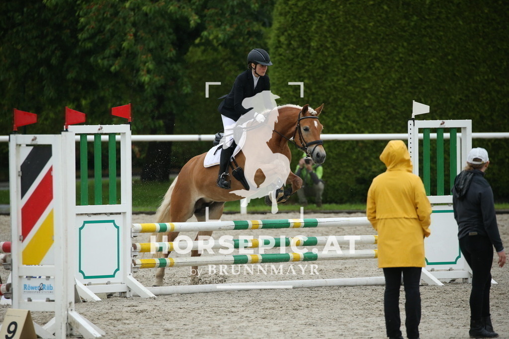 DL2Q0291 | Willkommen bei Brunnmayr - Design & Fotografie – Ihrem Spezialisten für Reitturniere und Pferdeveranstaltungen in Oberösterreich, Salzburg und Bayern! Seit über 17 Jahren sind wir leidenschaftlich dabei.