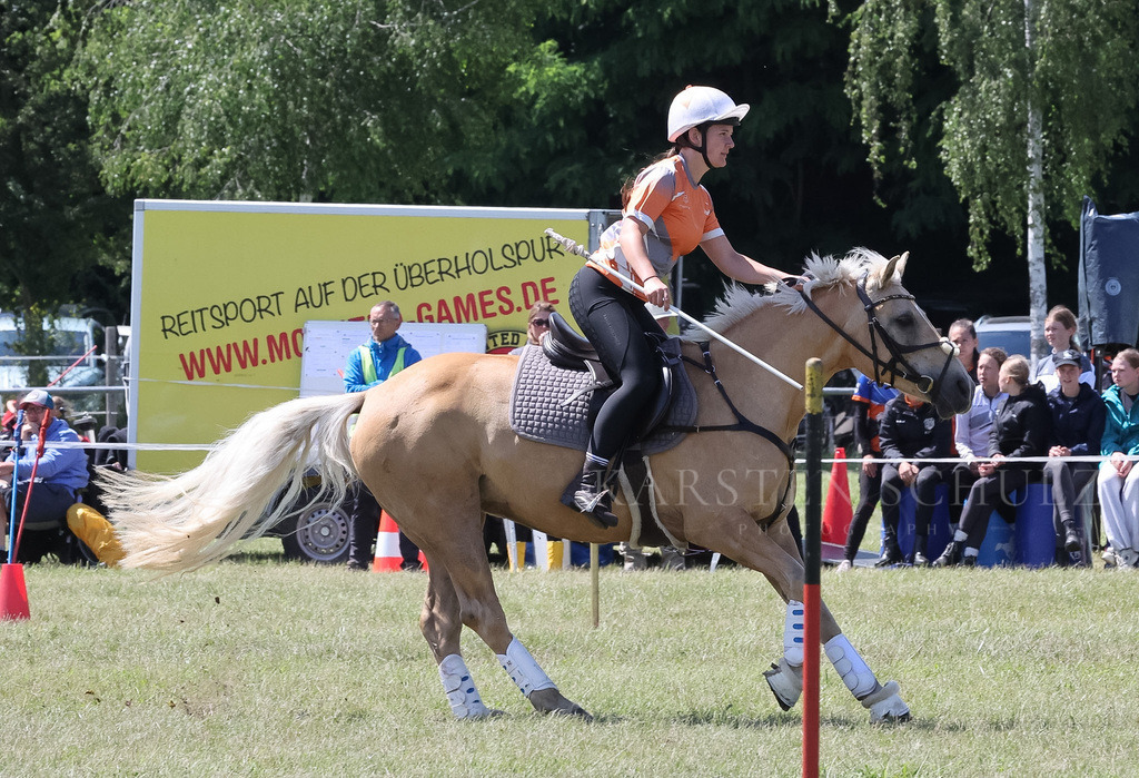 IMG_1595 | Reitsport Reiten