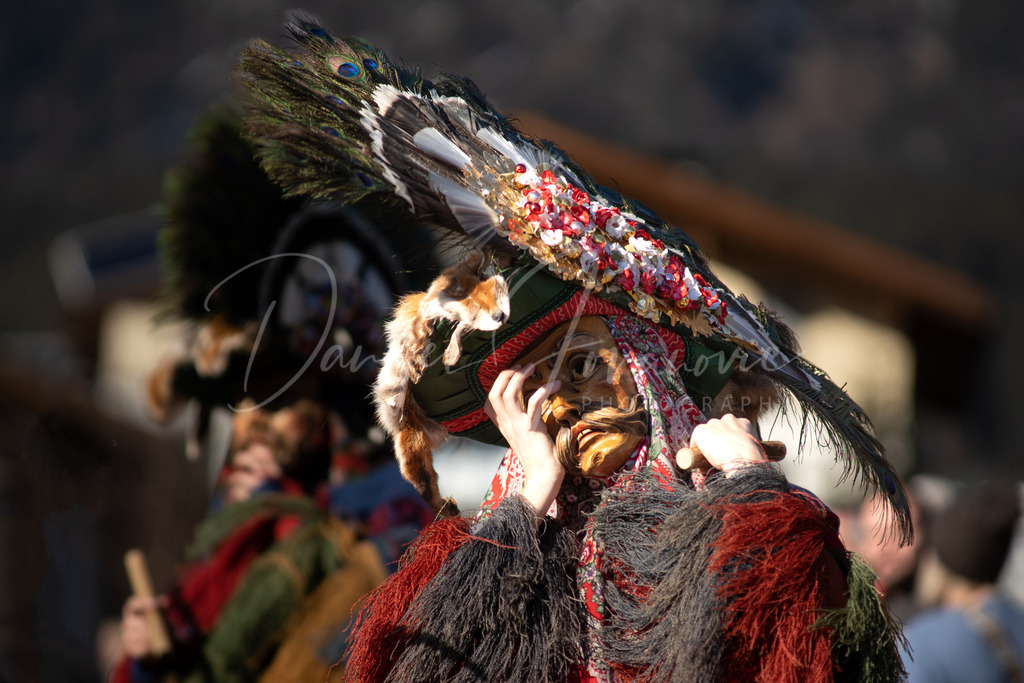 Rumer Muller | Umzug der Rumer Muller 2023