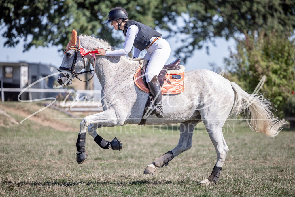 20260906-_3LI2782 | Tierfotografie Pferde, Hunde, Katzen, Haustiere.
Turnierfotografie Reitturniere, Reiten, Springreiten, Dressur in Hanau, dem Main-Kinzig-Kreis und dem Rhein-Main- Gebiet um Frankfurt