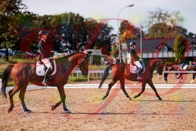 2026_10_03_Siefer-Hof_130839_Z81_61278268 | Professionelle Reitsport-, Turnier- und Eventfotografie von Robert Broda. Galerien mit ausgewählten und bearbeiteten Bildern direkt online ansehen und bestellen.