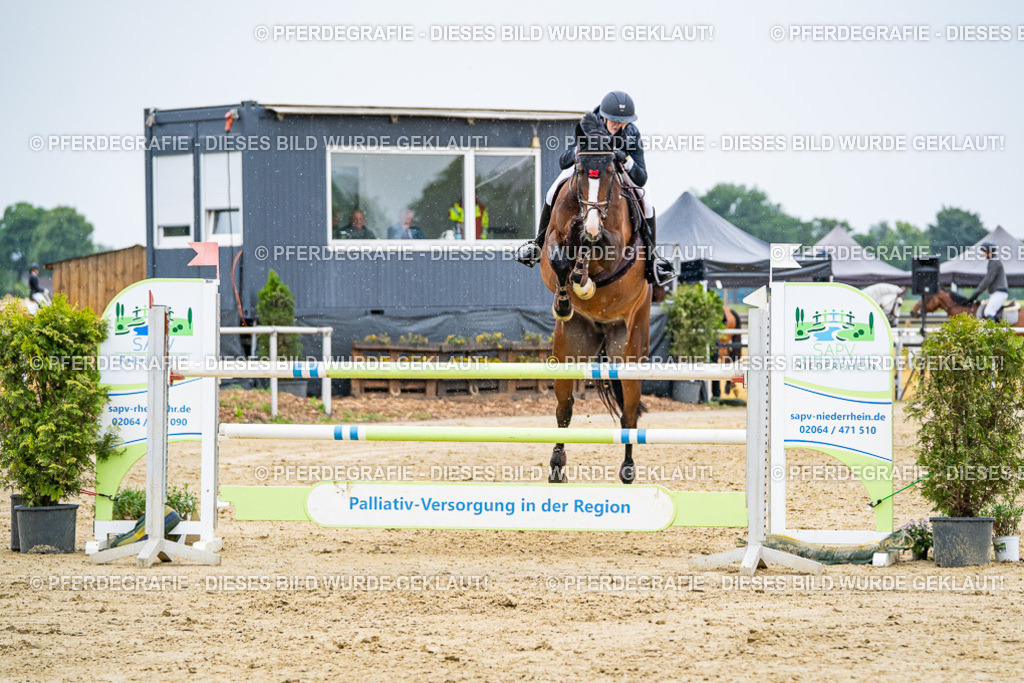 DSC08503 | Pferdegrafie