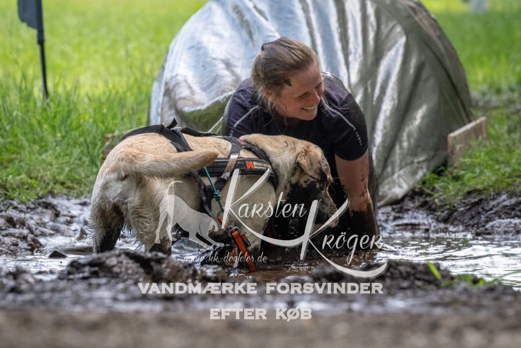 1145_ZZ94450 | kk-dogfotos
