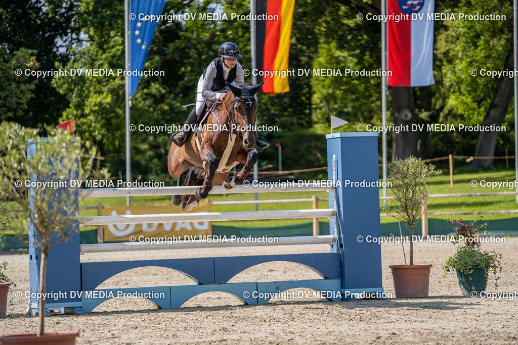 Hessische Tag 1-1626 | dv-media-shop - Realisiert mit Pictrs.com