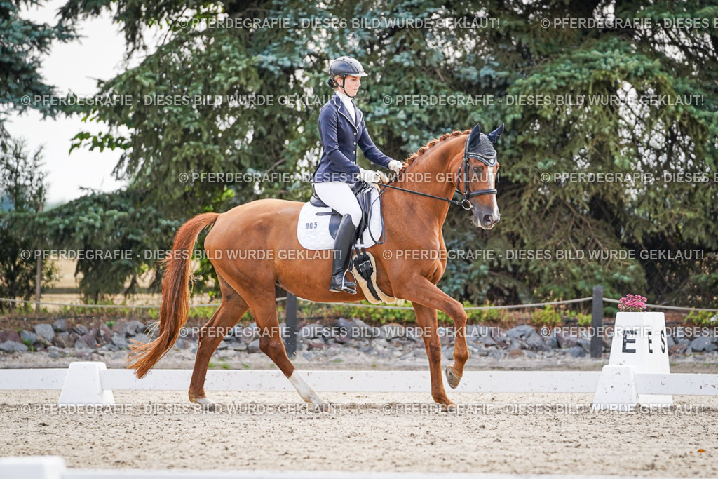 DSC00604 | Pferdegrafie