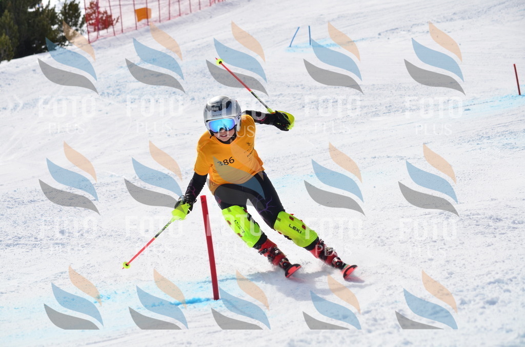 C9905 | holidayphoto