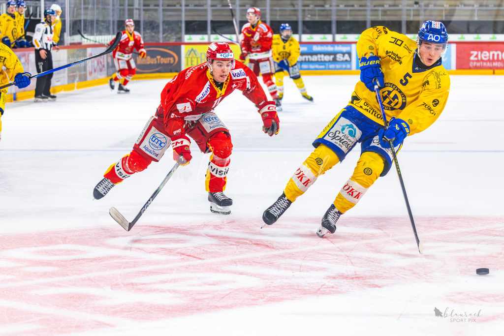 U21_EHCB vs HCD_wb20260308-12 | Sportbilder, Sportfotograf, Hochzeits- und Eventfotografin, Flugshows, Portraits und Tiershooting, Aviation, Downhill, Nationalleague, Swissleague, International