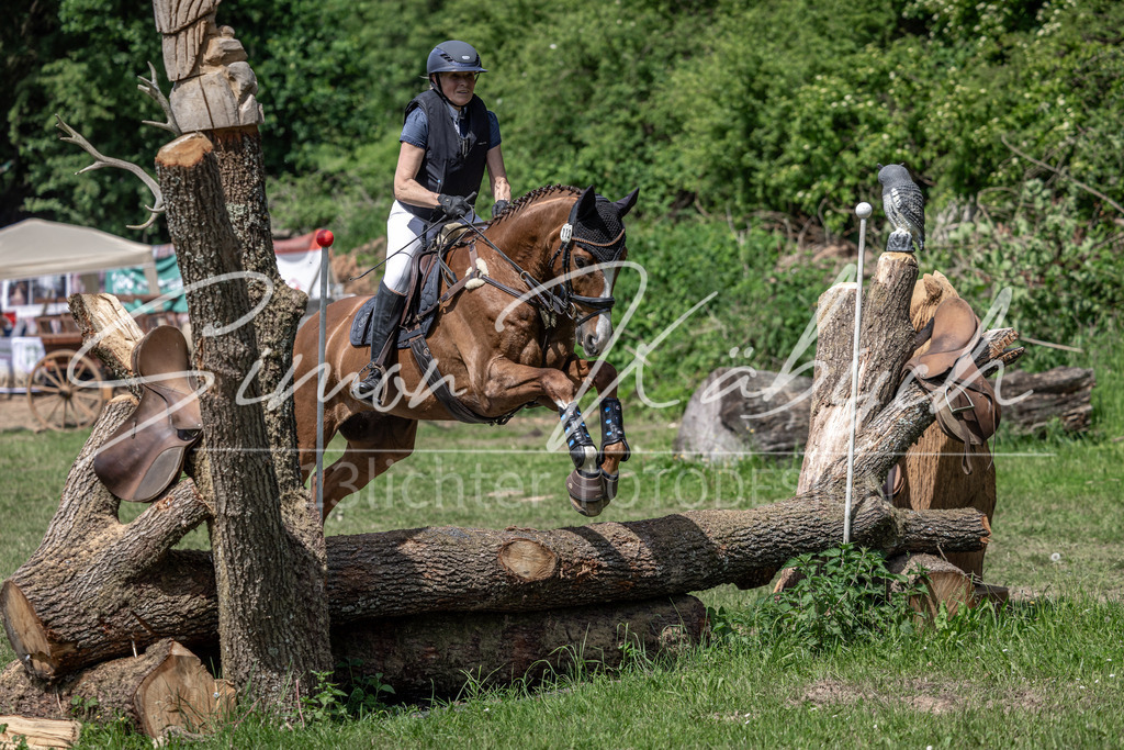 20260523-_3LI9045 | Tierfotografie Pferde, Hunde, Katzen, Haustiere.
Turnierfotografie Reitturniere, Reiten, Springreiten, Dressur in Hanau, dem Main-Kinzig-Kreis und dem Rhein-Main- Gebiet um Frankfurt