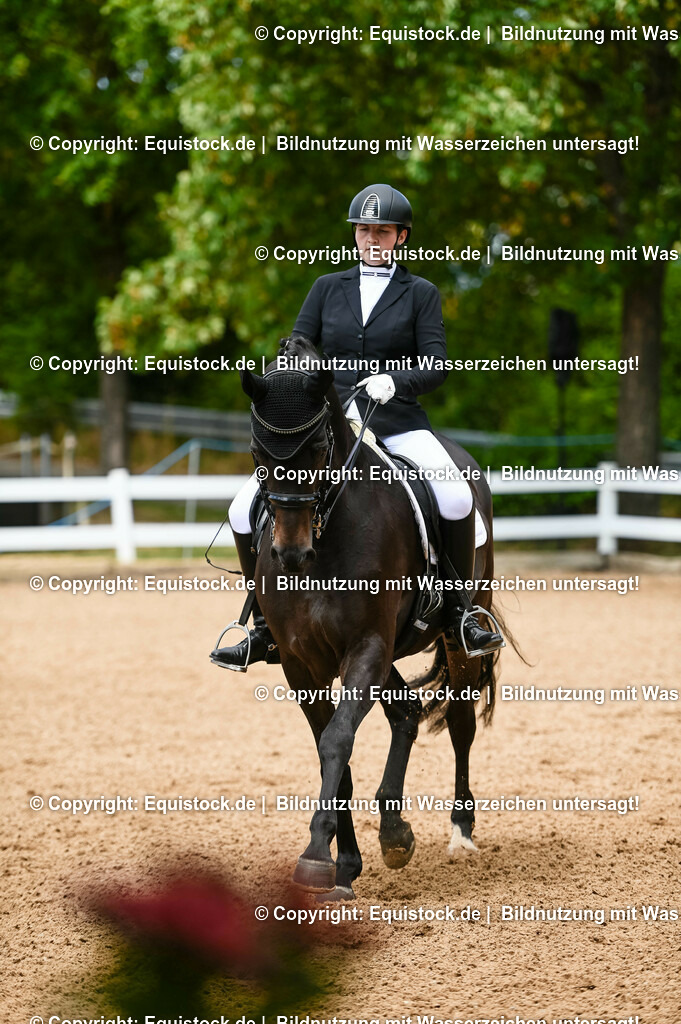 20230716_01_Dressurprüfung Kl.M_0124 | equistock