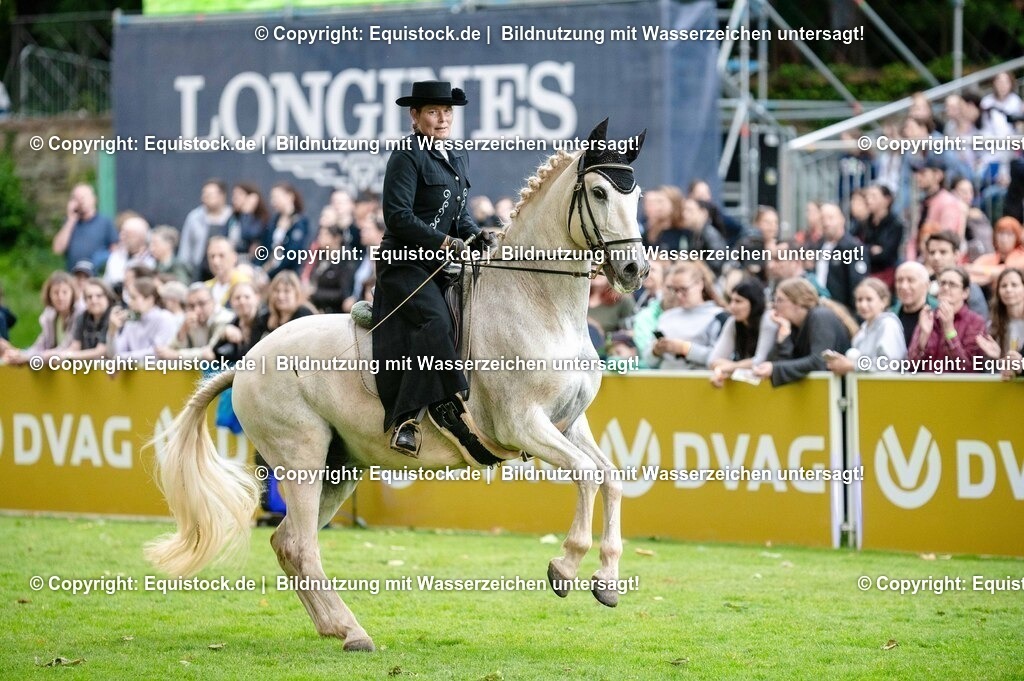 20250606_Lange-Pferdenacht_0582 | Foto: Thomas Hartig