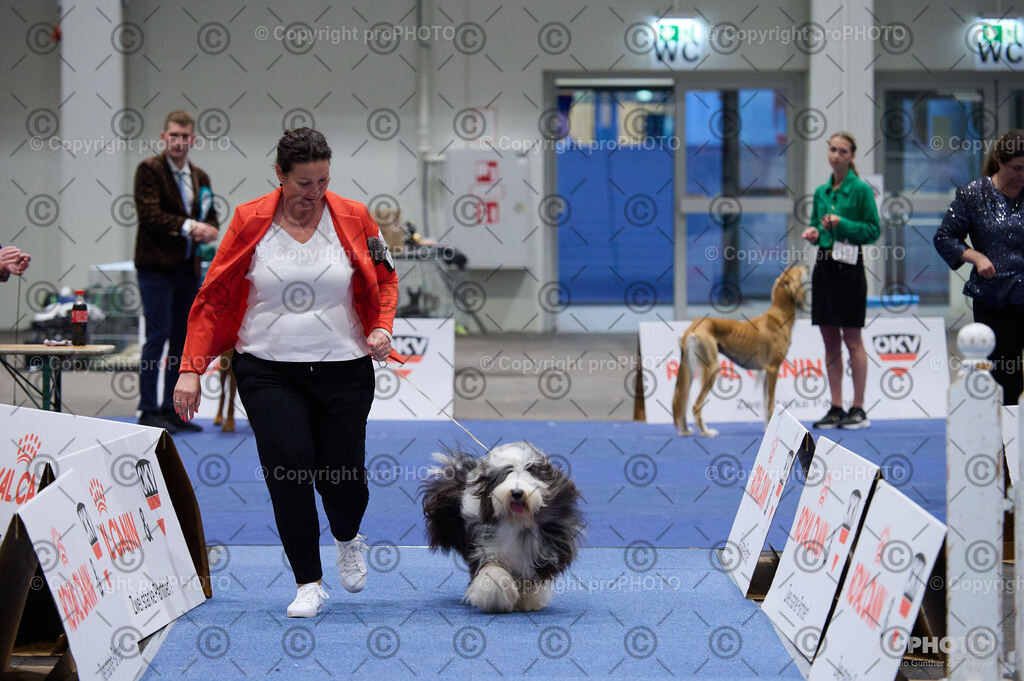 202406_ÖKV-IHA-Tulln24_DSC_3414 | proPHOTO - Realisiert mit Pictrs.com