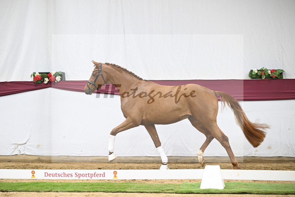 Kat-Nr. 133 Von Und Zu x Locksley III_Sabine Lehner_47254505 | hf-fotografie - Realisiert mit Pictrs.com