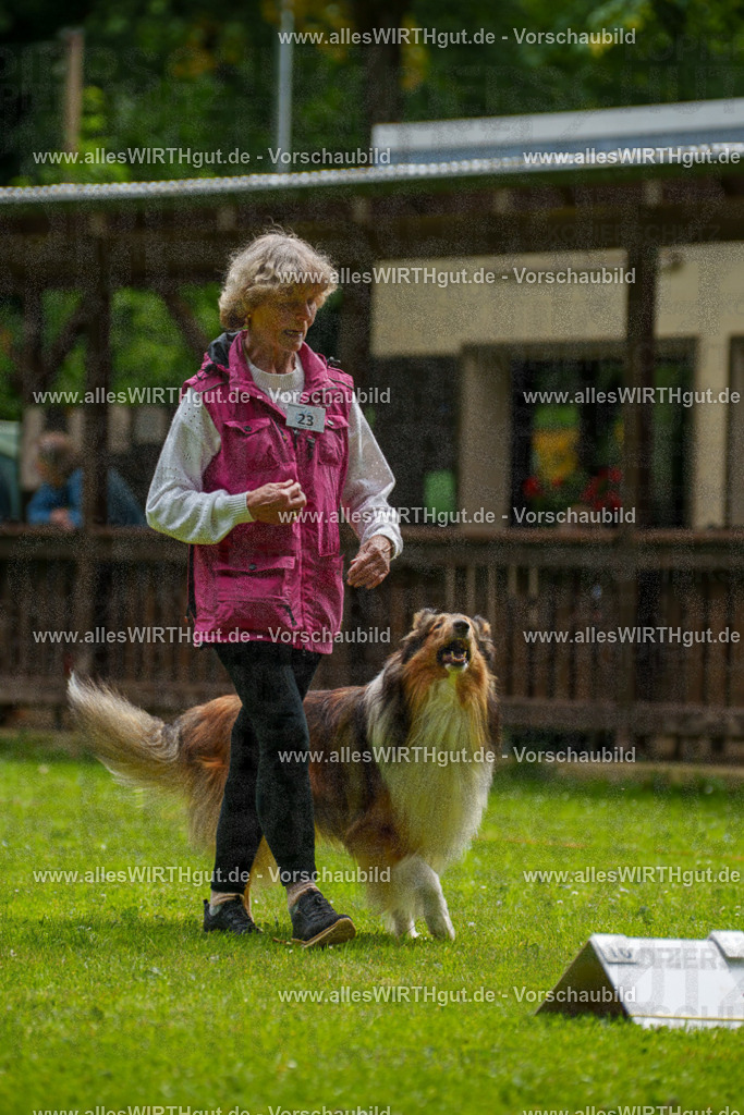 @allesWIRTHgut_Tierfotografie - www.allesWIRTHgut.de - 095143-7R507756 | Professionelle Tierfotografie in Mönchengladbach von Daniel Wirth (allesWIRTHgut). Liebevolle & natürliche Bilder von Hunden & Katzen für unvergessliche Erinnerungen.