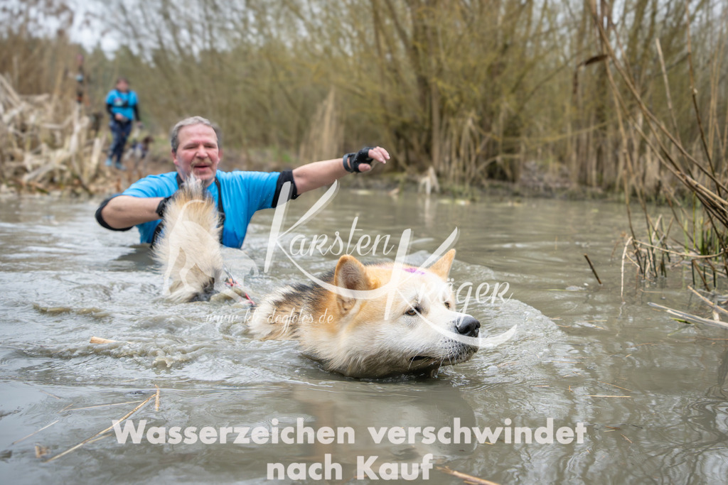 1351_ZZ93483 | kk-dogfotos
