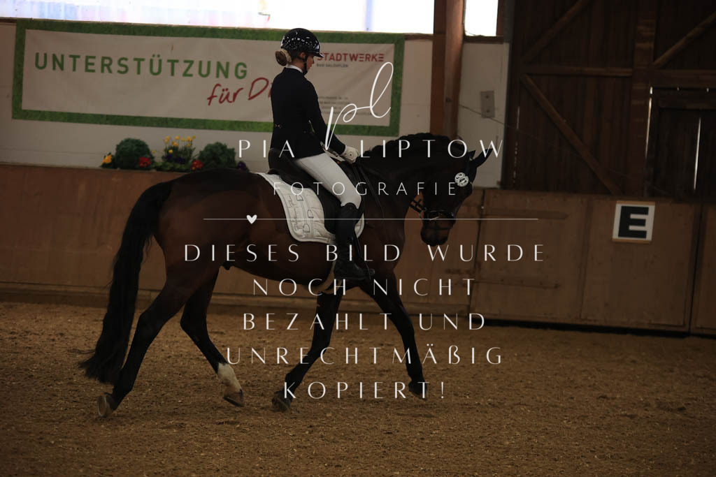 IMGT9811 | pl-fotografie