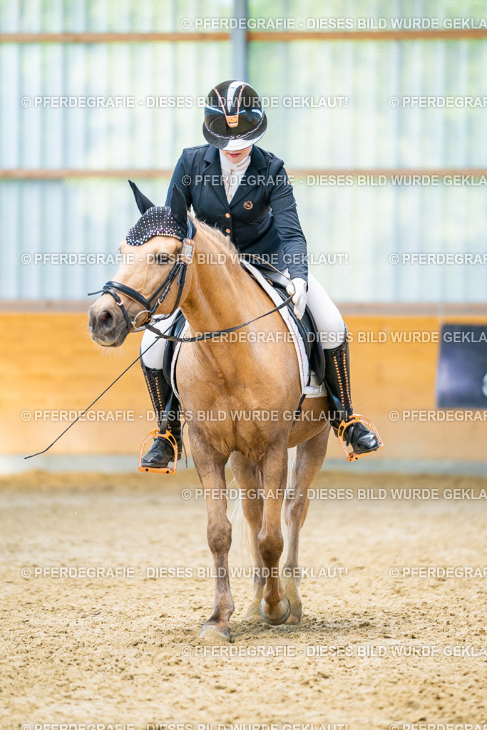 DSC07687 | Pferdegrafie