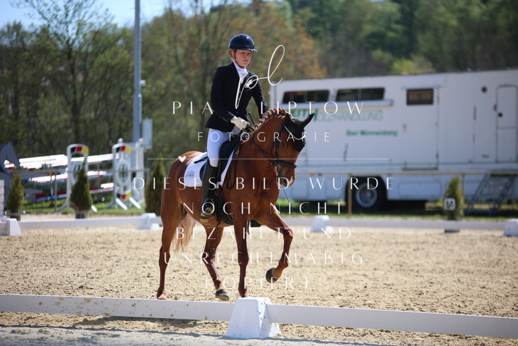 IMGT1063 | pl-fotografie