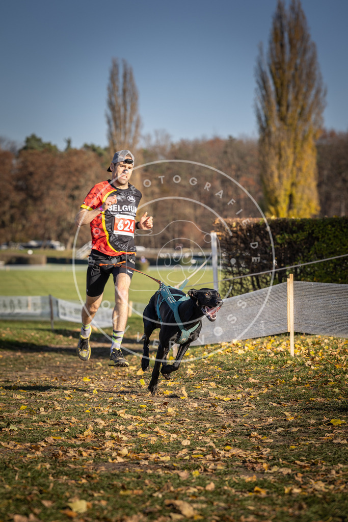 CaniXpix_DV3A9976 | Hundefotografie, Tierfotograf, Pfotenfotografie, Fotoshooting Hund, Hunde Portrait, Hundesport, Hundeportraits, Heideshooting, Hunde, Sportfotograf, Hundefotograf, Turnierhundsport, THS,  - Realisiert mit Pictrs.com