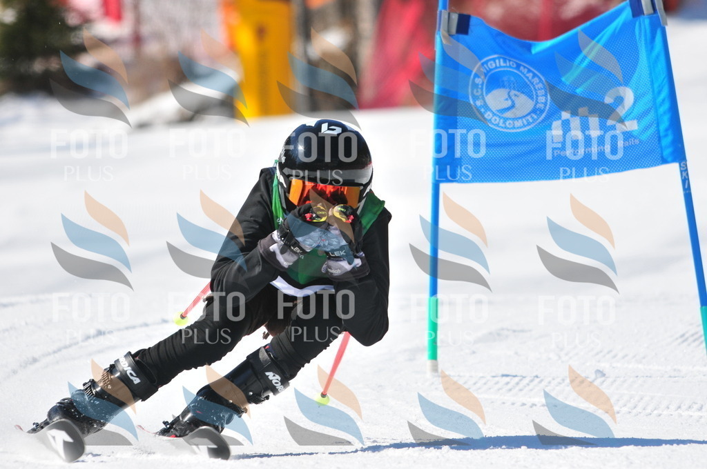 C3816 | holidayphoto