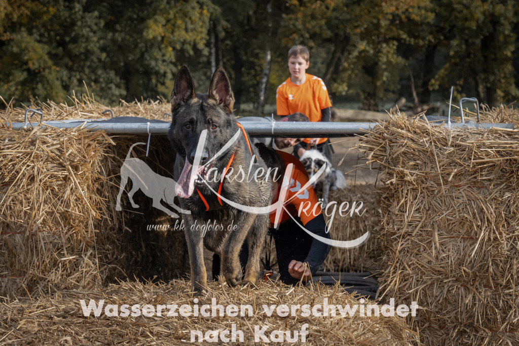 1031_ZZ98522 | kk-dogfotos