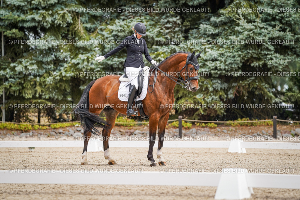 DSC04162 | Pferdegrafie