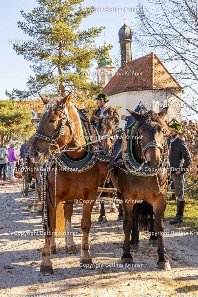 LBT25-1197 | foto-bettina-krinner - Realisiert mit Pictrs.com