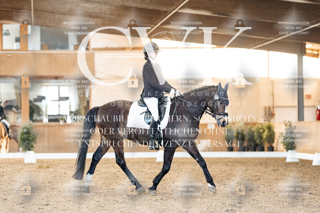 CK906951 | Turnierfotografie Pferdefotografie Trier Rheinland-Pfalz Pferdesport Reitsport Tierfotografie Sportfotografie Pferdevideo Pferdevideografie Equestrianvideography equestrianphotography  - Realisiert mit Pictrs.com
