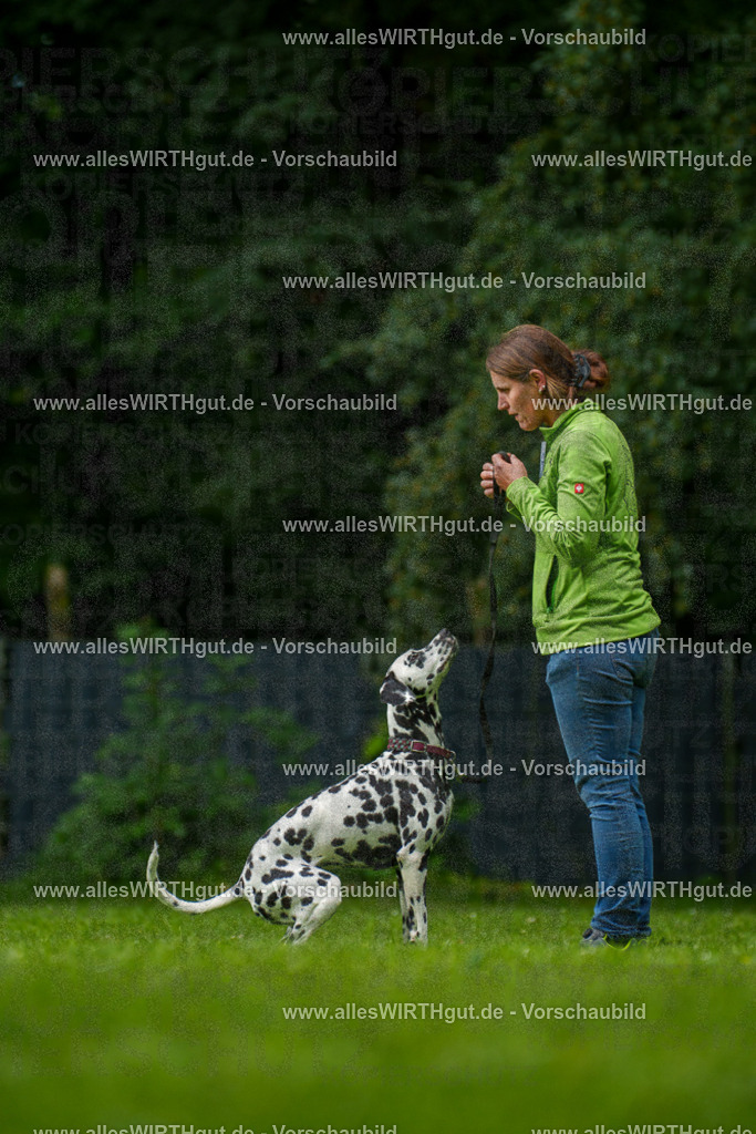 @allesWIRTHgut_Tierfotografie - www.allesWIRTHgut.de - 135049-7R500057 | Professionelle Tierfotografie in Mönchengladbach von Daniel Wirth (allesWIRTHgut). Liebevolle & natürliche Bilder von Hunden & Katzen für unvergessliche Erinnerungen.
