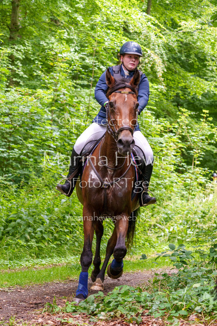 Jagd Knoop 26_MarinaHewigMCH02466 | Fotografie, FotoArt, PferdesportArt, Pferdesportfotografie, Landschaftsfotografie, Reisefotografie, Reise, Pferde - Realisiert mit Pictrs.com