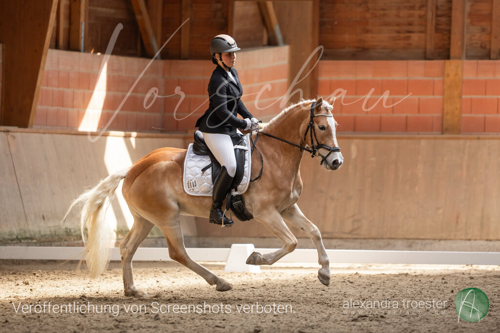 250405_Barop_11_272 | farbklaex.com