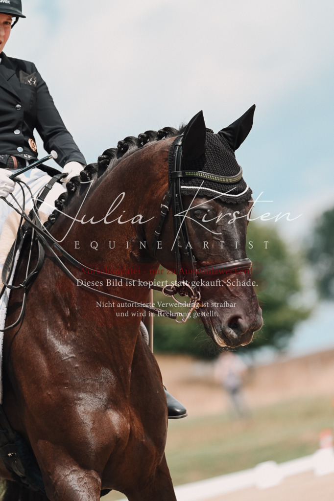 DSC_4258 | Pferde- und Turnierfotografie in Westsachsen. Pferdeportraits, Auftragszeichnungen und intuitive Kunst.