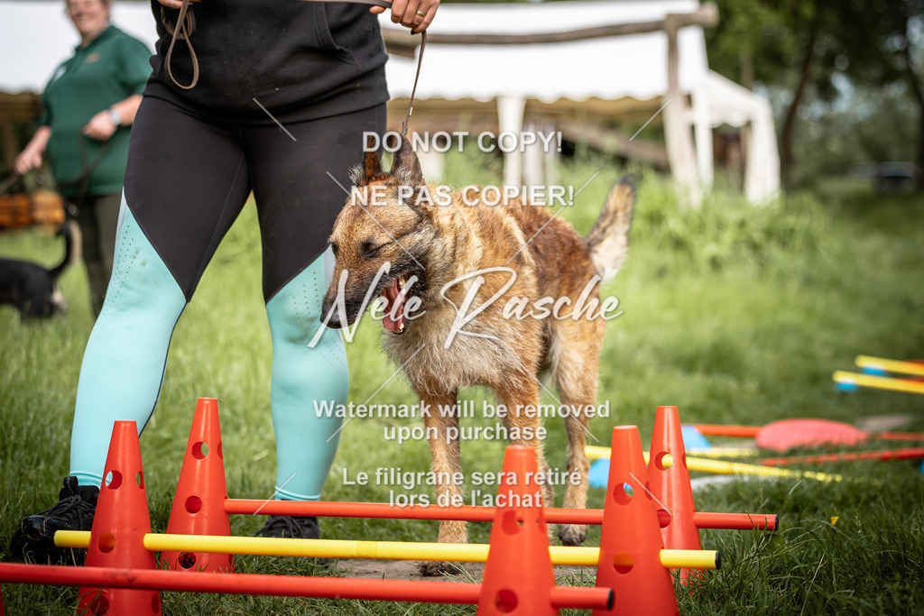 nelerasche_So-earlydog_36 | nelerasche
