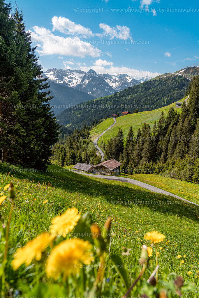 Geiselalm Frühling copyright  Thomas Pfister-1 | PHOTOGRAPHY BY THOMAS PFISTER