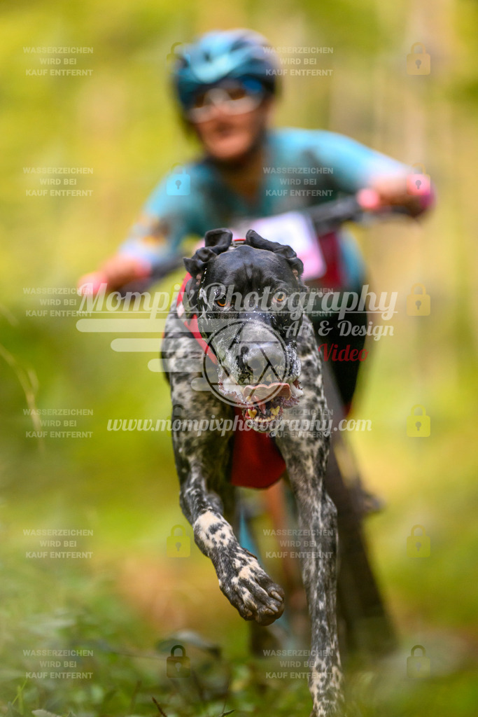 MompixPhotography_Yens2025_B2-8 | PayLife