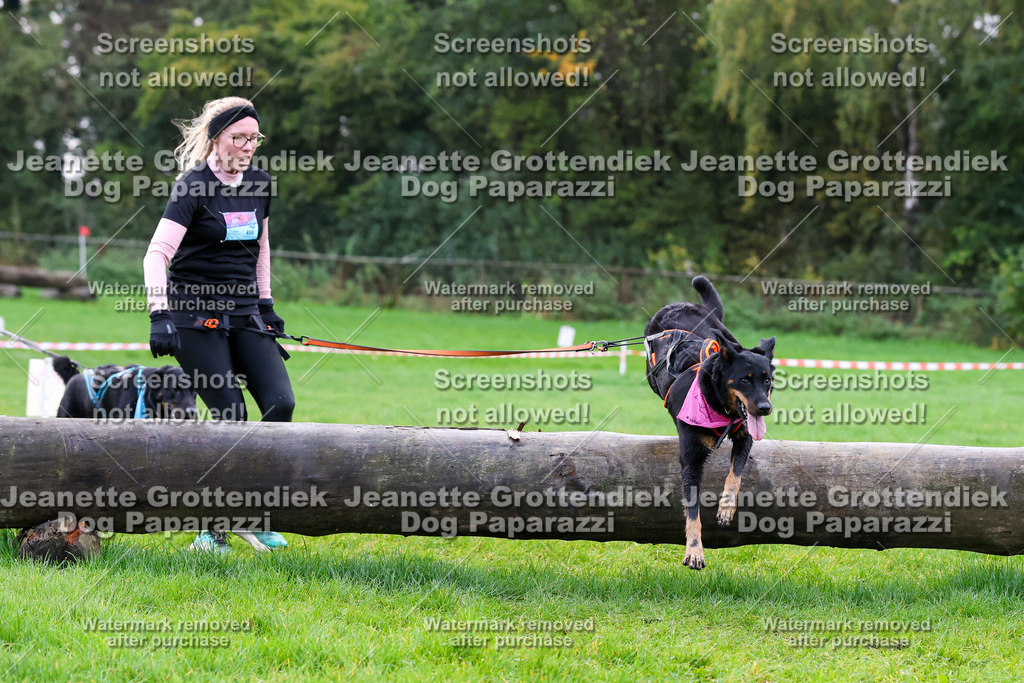 Dog Paparazzi -  SD1026-972 | Dog Paparazzi Jeanette Grottendiek Fotografie & Videografie - Realisiert mit Pictrs.com