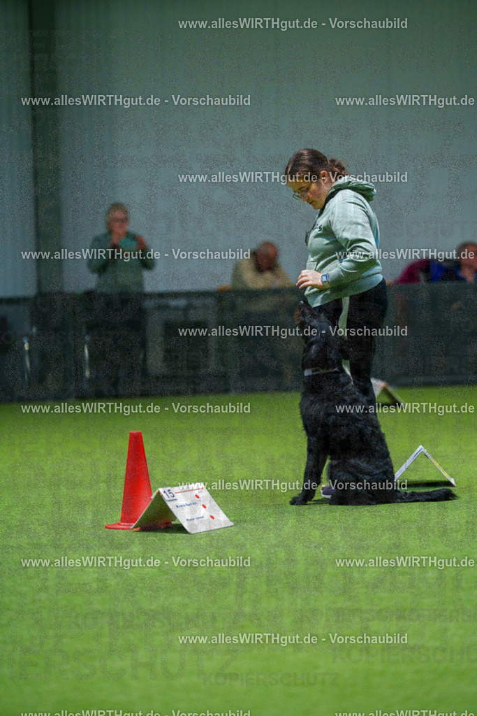 7R505807 | Professionelle Tierfotografie in Mönchengladbach von Daniel Wirth (allesWIRTHgut). Liebevolle & natürliche Bilder von Hunden & Katzen für unvergessliche Erinnerungen.