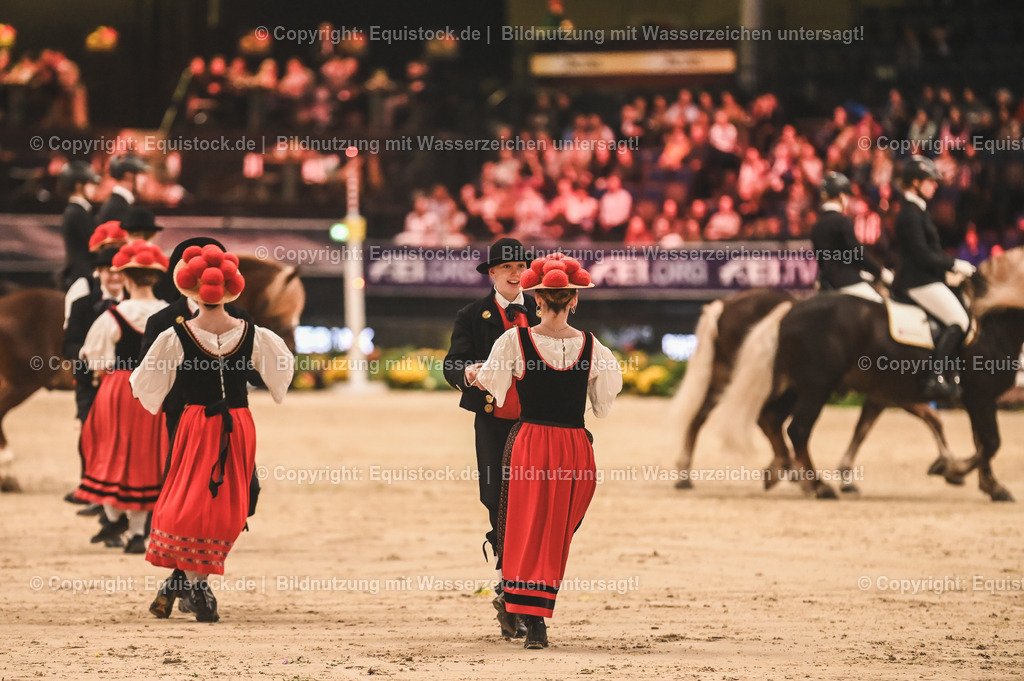 20241113_Showabend_TOMsPiC_0237 | Foto: Thomas Hartig