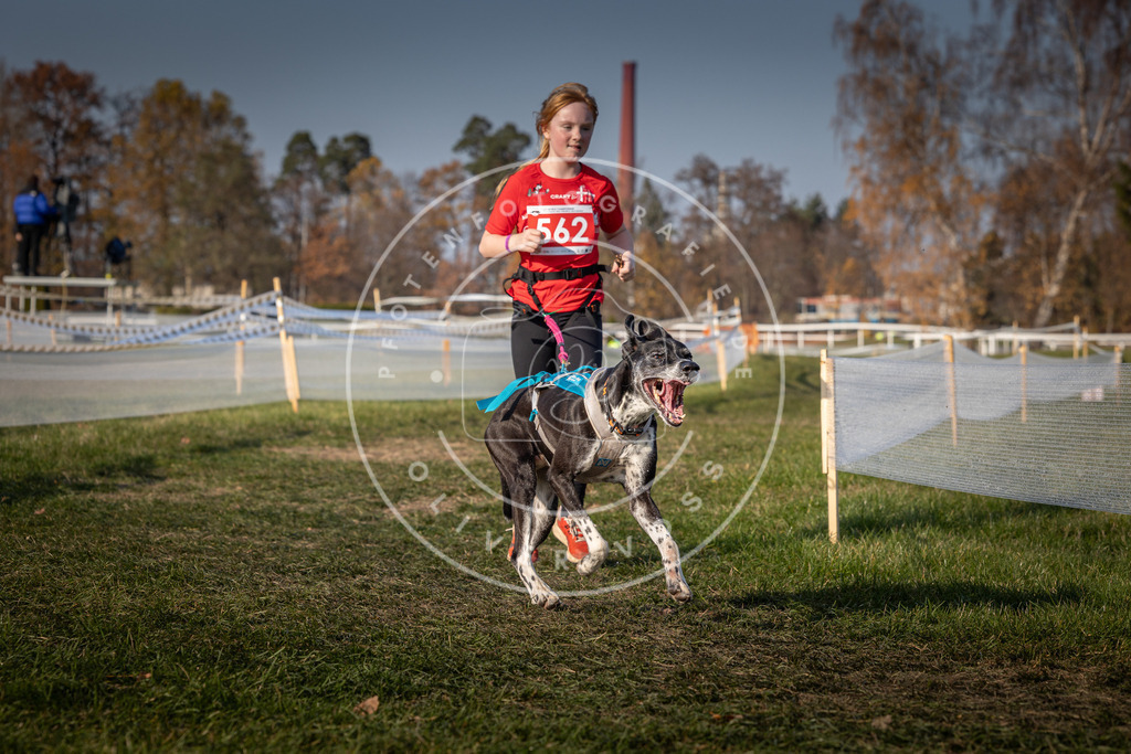CaniXpix_0L8A9438 | Hundefotografie, Tierfotograf, Pfotenfotografie, Fotoshooting Hund, Hunde Portrait, Hundesport, Hundeportraits, Heideshooting, Hunde, Sportfotograf, Hundefotograf, Turnierhundsport, THS,  - Realisiert mit Pictrs.com