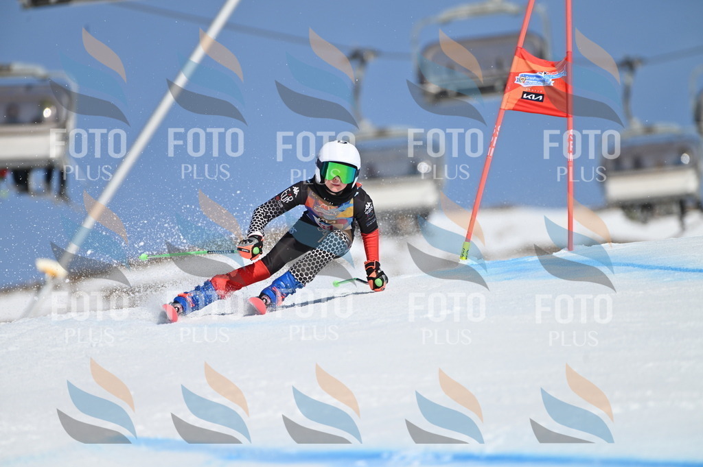 BGV_9076 | holidayphoto