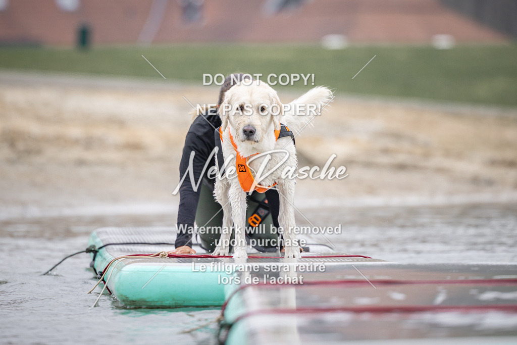 nelerasche_Hulsbeek_Sa1030-1100_684 | nelerasche